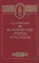 Исторические очерки и рассказы - Шубинский Сергей Николаевич