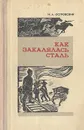 Как закалялась сталь - Островский Николай Алексеевич