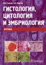 Гистология, цитология и эмбриология. Атлас - В. В. Гемонов, Э. Н. Лаврова