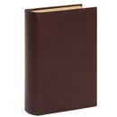 Знаменитый Павлюк - Нилин Павел Филиппович