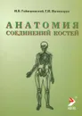 Анатомия соединений костей - И. В. Гайворонский, Г. И. Ничипорук