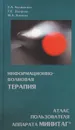 Информационно-волновая терапия. Атлас пользователя аппарата МИНИТАГ - Е. А. Калмыкова, Г. Е. Захарова, М. А. Китаева