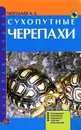 Сухопутные черепахи. Содержание. Разведение. Кормление. Лечение заболеваний - А. Е. Чегодаев