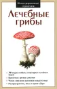 Лечебные грибы - Сергей Афонькин