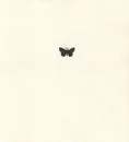 Ночные бабочки - Эдуардас Межелайтис