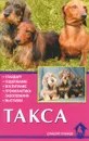 Такса. Стандарт. Содержание. Воспитание. Профилактика заболеваний. Выставки - Курт Шмидт-Дуйсберг