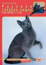Русская голубая кошка. Содержание и уход - М. Островская