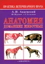 Анатомия домашних животных - Акаевский Анатолий Иванович, Юдичев Юрий Федорович