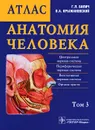 Анатомия человека. Атлас. В 3 томах. Том 3 - Г. Л. Билич, В. А. Крыжановский