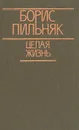 Целая жизнь - Борис Пильняк