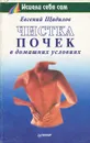 Чистка почек в домашних условиях - Щадилов Евгений Владимирович