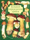 Большой определитель грибов - А. В. Юдин