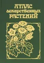 Атлас лекарственных растений - Т. А. Горбунова