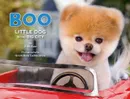 Boo: Little Dog in the Big City - J. H. Lee