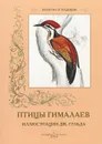 Птицы Гималаев - С. Иванов