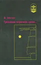 Громами отражая гром... - В. Шигин