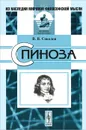 Спиноза - В. В. Соколов