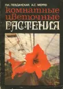 Комнатные цветочные растения - Левданская Прасковья Игнатьевна, Мерло Анна Станиславовна