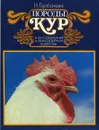 Породы кур и их содержание в приусадебном хозяйстве - Н. Горбачева