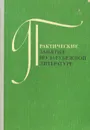 Практические занятия по зарубежной литературе - Нина Михальская