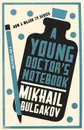 A Young Doctor's Notebook - Mikhail Bulgakov
