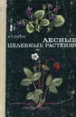 Лесные целебные растения - А. П. Попов