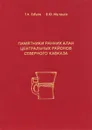 Памятники ранних алан центральных районов Северного Кавказа - Т. А. Габуев, В. Ю. Малашев