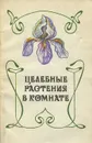 Целебные растения в комнате - Г. Б. Гортинский, Г. П. Яковлев