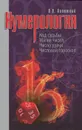 Нумерология. Код судьбы. Магия чисел. Число удачи. Числовой гороскоп - В. В. Калюжный
