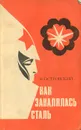 Как закалялась сталь - Островский Николай Алексеевич
