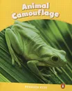 Animal Camouflage: Level 6 - Caroline Laidlaw