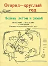 Зелень летом и зимой - О. А. Ганичкина