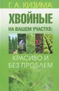 Хвойные на вашем участке. Красиво и без проблем - Г. А. Кизима