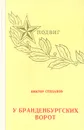 У Бранденбургских ворот - Виктор Степанов