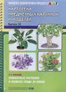 Комнатные растения и модели ухода за ними - Е. С. Ковалева