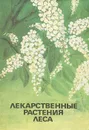 Лекарственные растения леса - Никиточкина Татьяна Дмитриевна