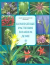 Комнатные растения в вашем доме. Новый энциклопедический справочник - Ольга Бердникова