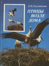 Птицы возле дома - Голованова Эмилия Николаевна