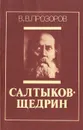 Салтыков-Щедрин - В. В. Прозоров