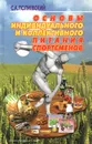 Основы индивидуального и коллективного питания спортсменов - С. А. Полиевский