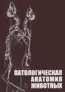 Патологическая анатомия животных - А. В. Жаров