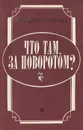 Что там, за поворотом? - Виктор Сытин