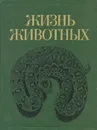 Жизнь животных в 7 томах. Том 5. Земноводные. Пресмыкающиеся - Дроздов Николай Николаевич, Даревский Илья Сергеевич, Денисова Мария Николаевна, Иорданский Николай Николаевич