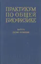 Практикум по общей биофизике. Выпуск третий-четвертый - Бурлакова Елена Владимировна, Вепринцев Борис Николаевич