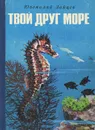 Твой друг море - Зайцев Ювеналий Петрович