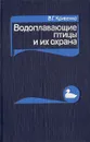 Водоплавающие птицы и их охрана - В. Г. Кривенко