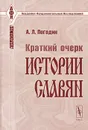 Краткий очерк истории славян - А. Л. Погодин