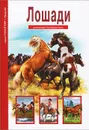 Лошади - С. Ю. Афонькин