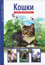 Кошки - С. Ю. Афонькин