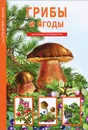 Грибы и ягоды - С. Ю. Афонькин